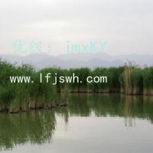벻